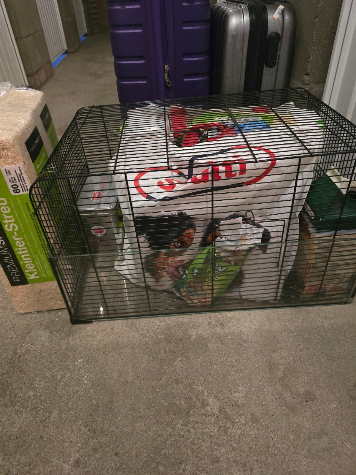 hamster kooi, Kooi, Gebruikt, Minder dan 75 cm, Cavia