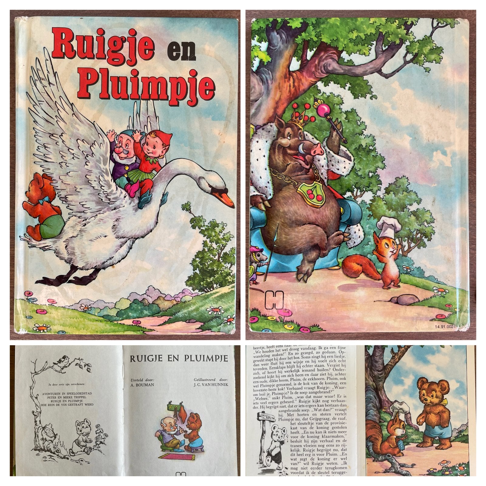 Prentenboekje ruigje en pluimpje, Boeken, Ophalen of Verzenden, Zo goed als nieuw, Prentenboek