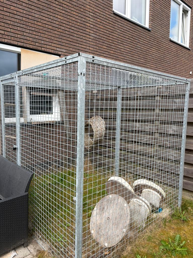 Kattenren gegalvaniseerd, Dieren en Toebehoren, Katten-accessoires, Zo goed als nieuw, Ophalen of Verzenden