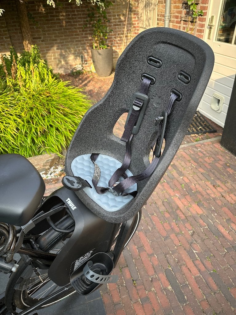 Thule Yepp Nexxt 2 Maxi Achterzitje, Fietsen en Brommers, Fietsaccessoires | Fietsstoeltjes, Ophalen, Achterzitje, Voetsteuntjes