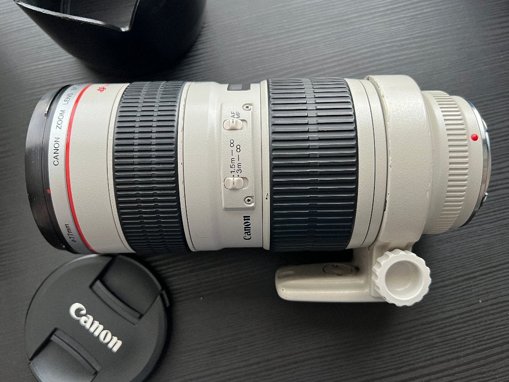 Canon EF 70-200mm f2.8L lens, Audio, Tv en Foto, Ophalen, Gebruikt, Canon, Beschermhoes/tas