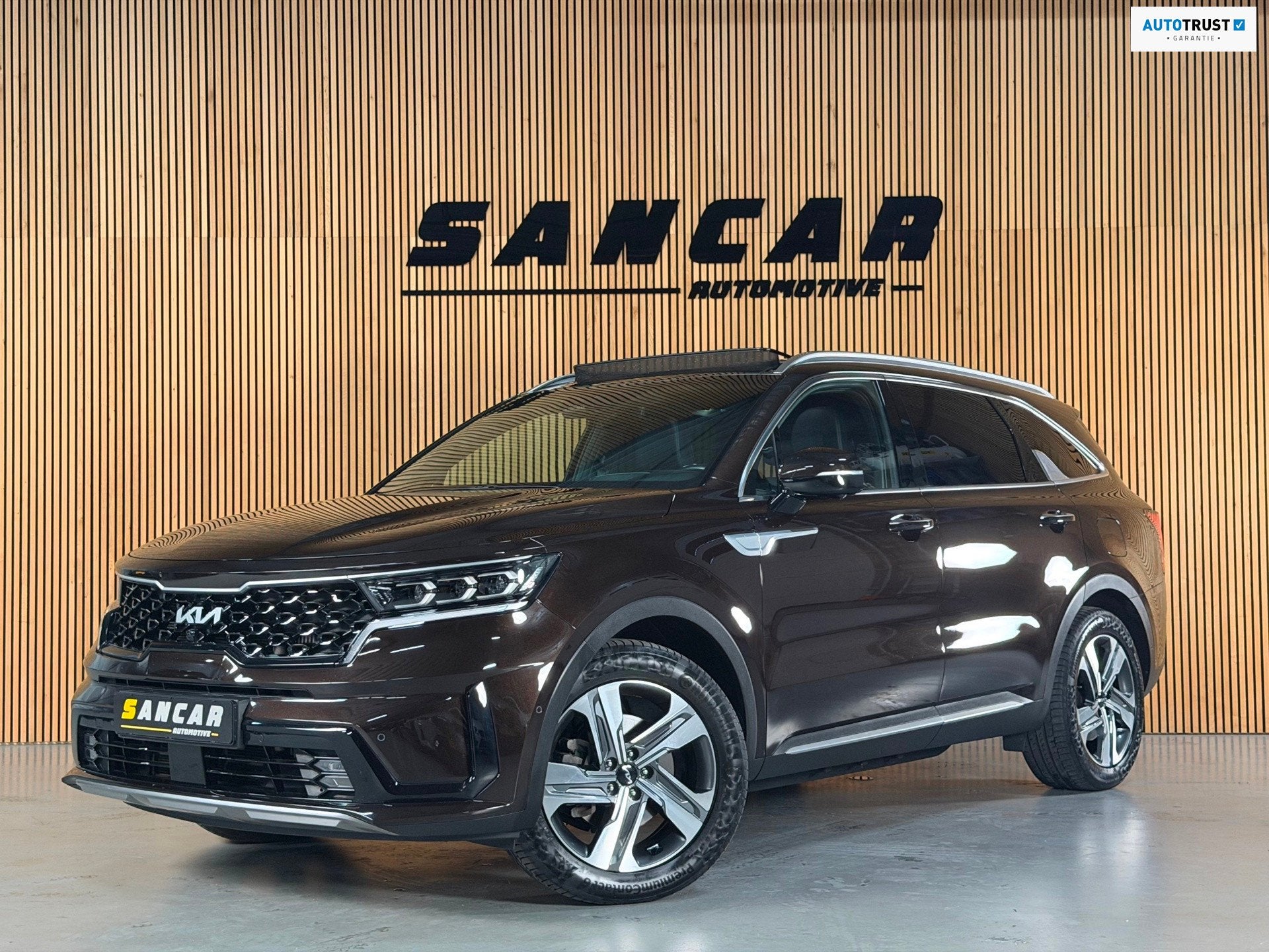 Kia Sorento 1.6 T-GDI Plug-in Hybrid 4WD ExecutiveLine 7p BO, Auto's, Dealer onderhouden, Gebruikt, 4 cilinders, 7 stoelen