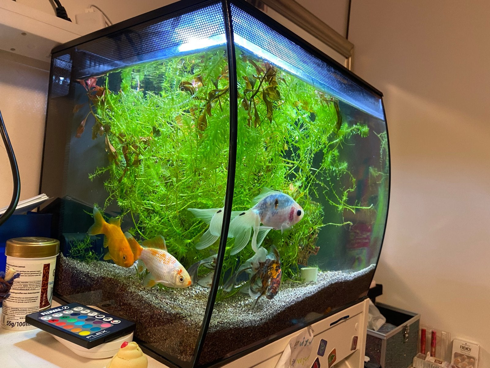 Fluval Aquarium led licht+ afstandsbediening, Ophalen