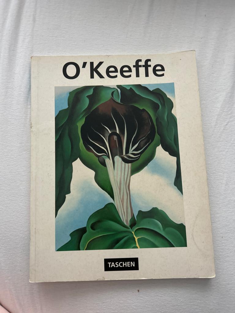 O'Keeffe - TASCHEN Kunstboek, Ophalen of Verzenden, Gelezen, Schilder- en Tekenkunst