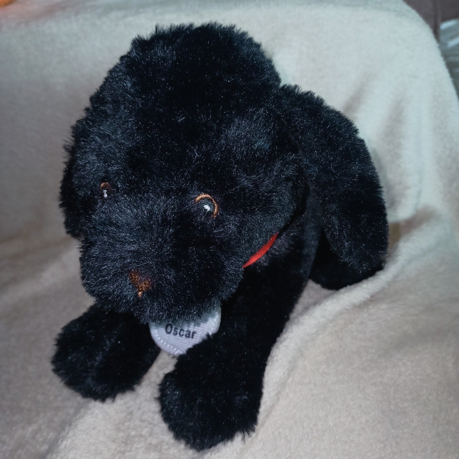 Zeeman, Zwarte pluche labrador, oscar. Met rode halsband., Overige merken, Zwart, Zo goed als nieuw, Wasbaar