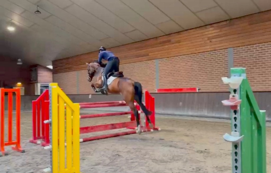 Springpaard te koop, Dieren en Toebehoren, Paarden, Merrie, Springpaard, 170 tot 175 cm, L
