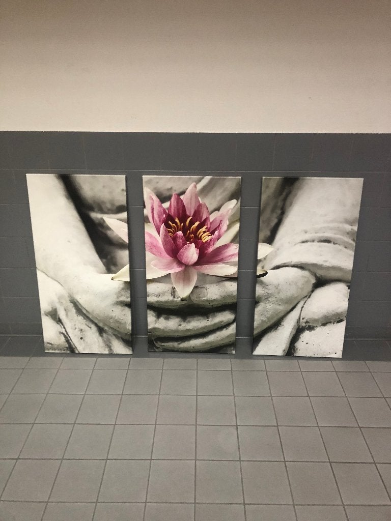 lotusbloem, canvas, Ophalen, Zo goed als nieuw, Schilderij, 100 tot 125 cm