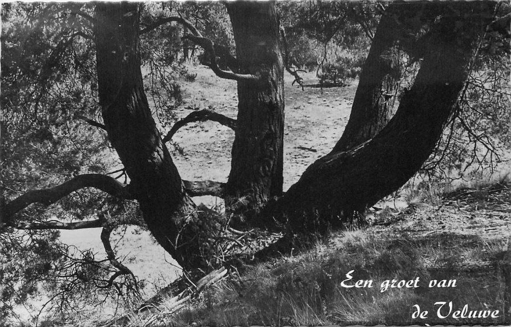 379-238-045 Veluwe, Verzenden, Voor 1920, Gelderland