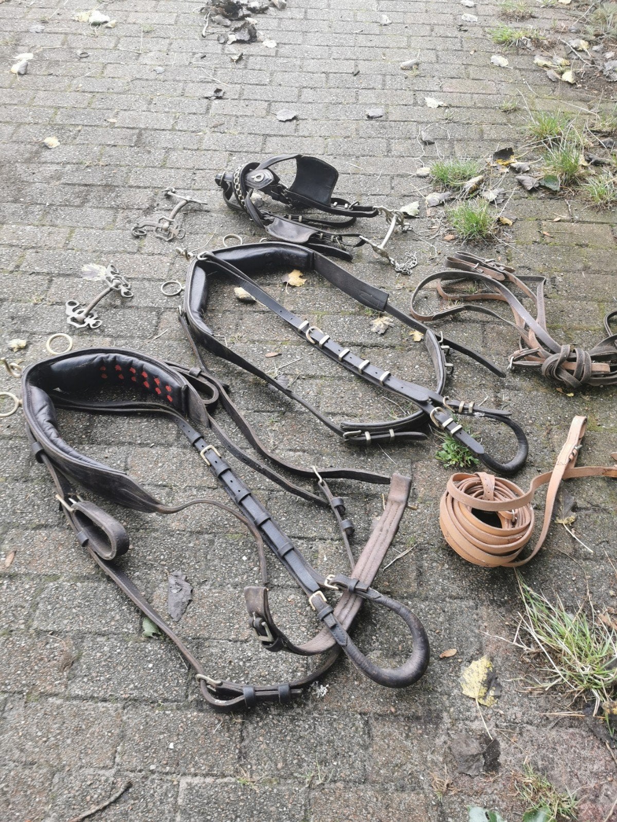 Hoofdstel en meer zie foto en omschrijving, Dieren en Toebehoren, Ophalen, Zilver, Hoofdstel