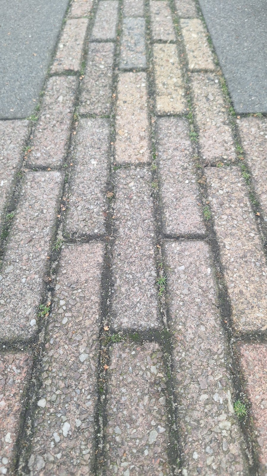 GRATIS klinkers Waalformaat 40m2, Tuin en Terras, Ophalen, Gebruikt, Beton, Klinkers
