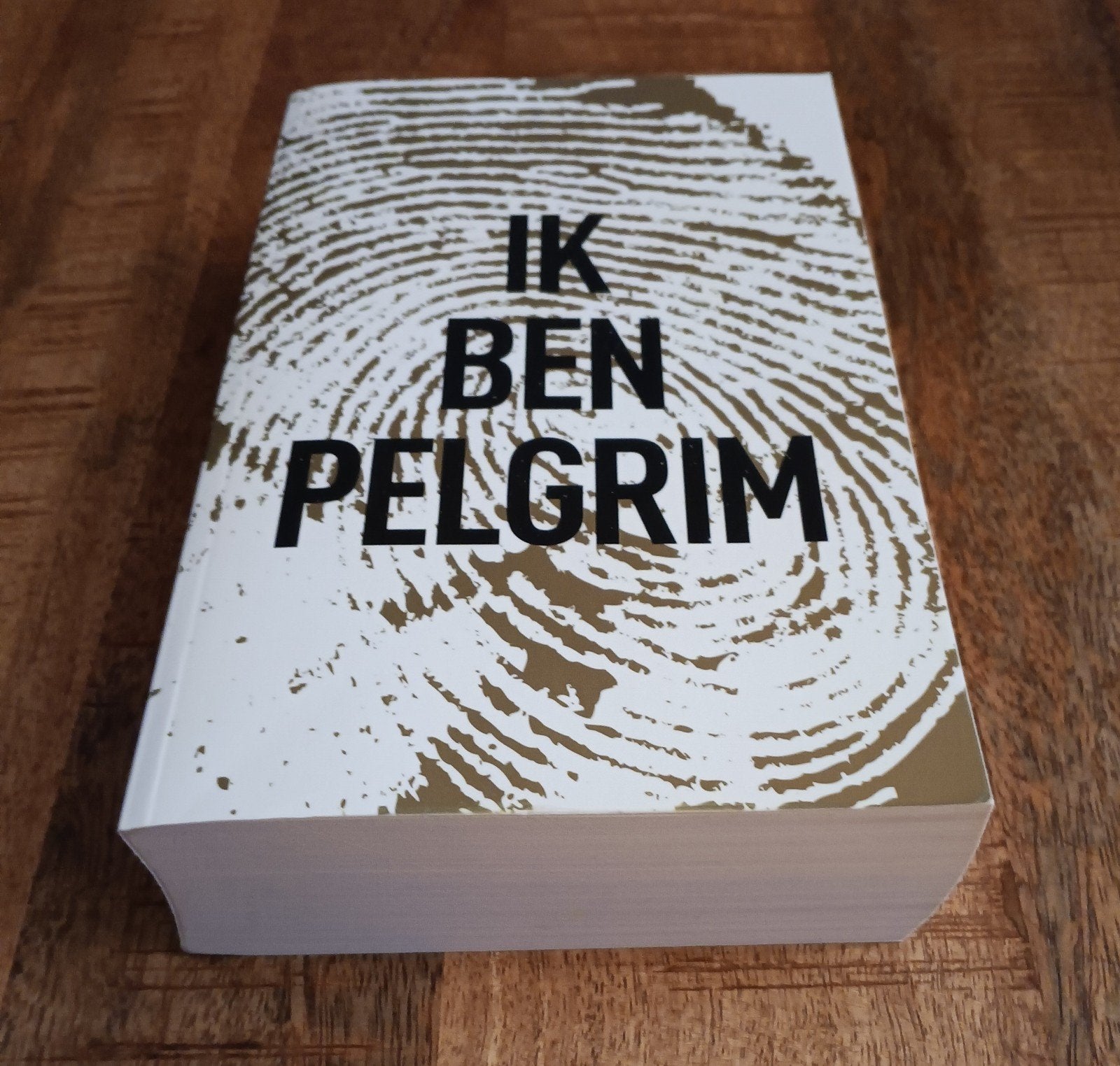 Ik ben Pelgrim, Ophalen of Verzenden, Gelezen, Terry Hayes