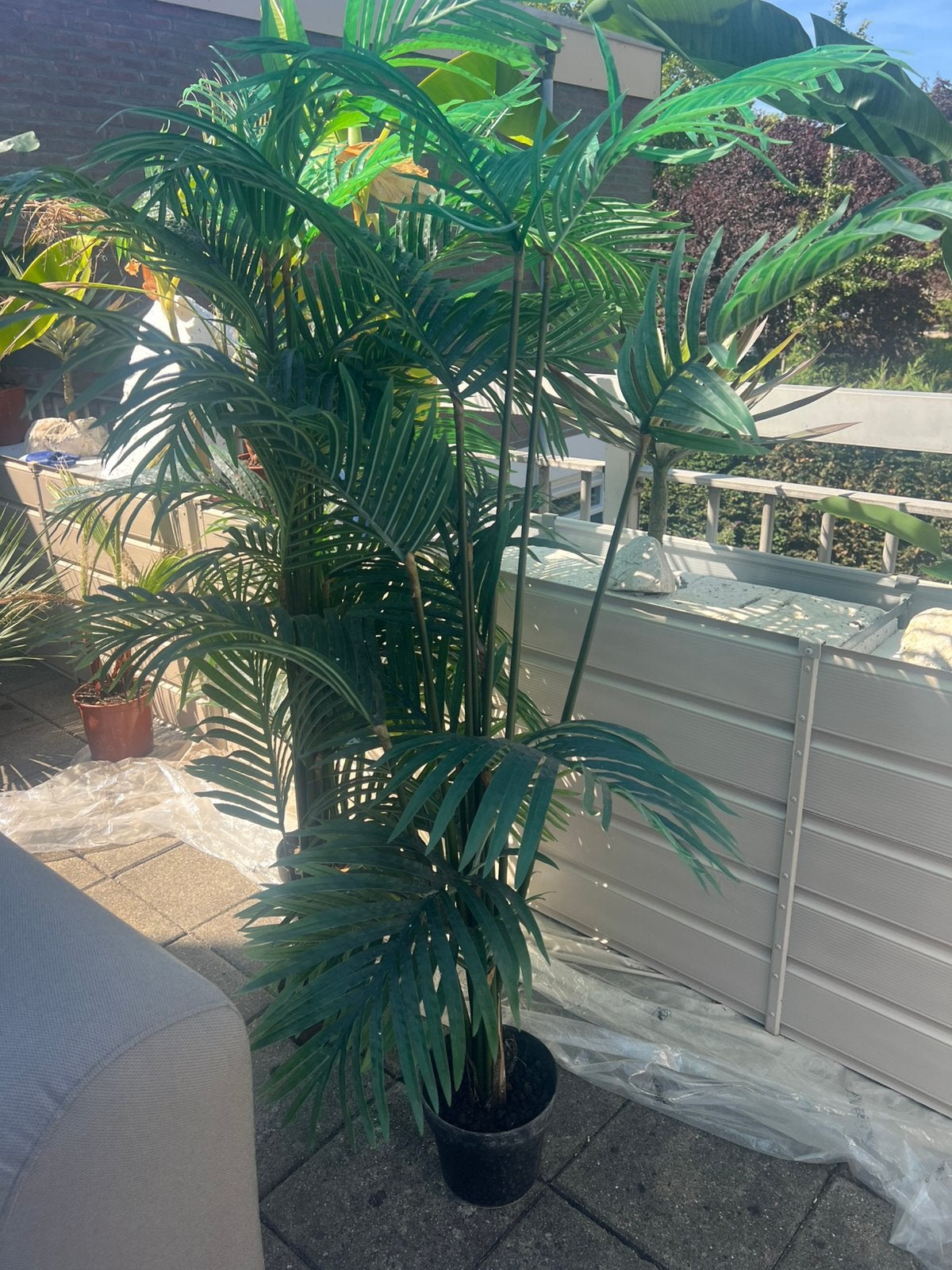 Kunst palmbomen, Tuin en Terras, Planten | Bomen, Volle zon, Ophalen of Verzenden, 100 tot 250 cm, Zomer