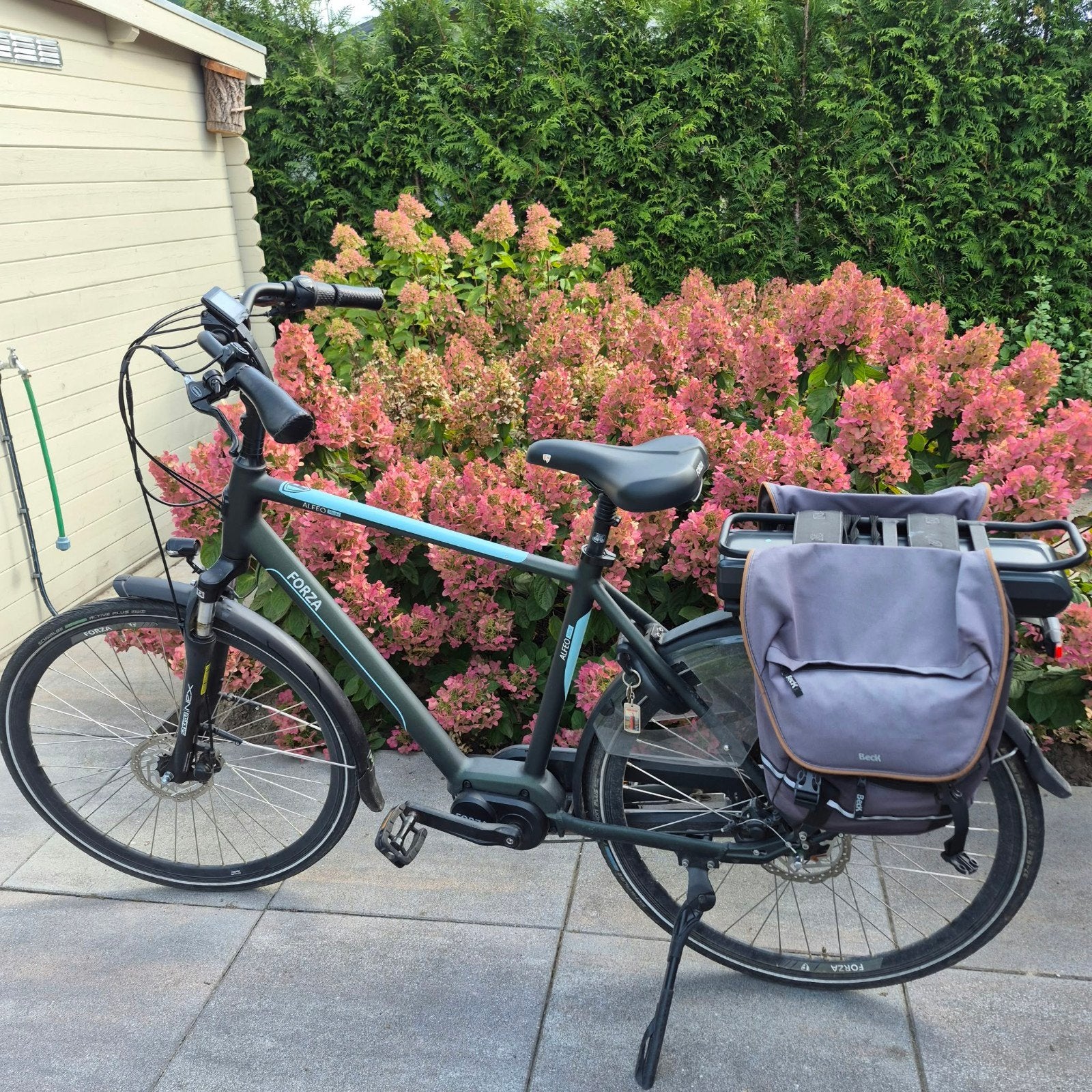 Forza Alveo elektrische fiets - 8 versnellingen, 500W accu, Gebruikt, 51 tot 55 cm, 50 km per accu of meer, Ophalen