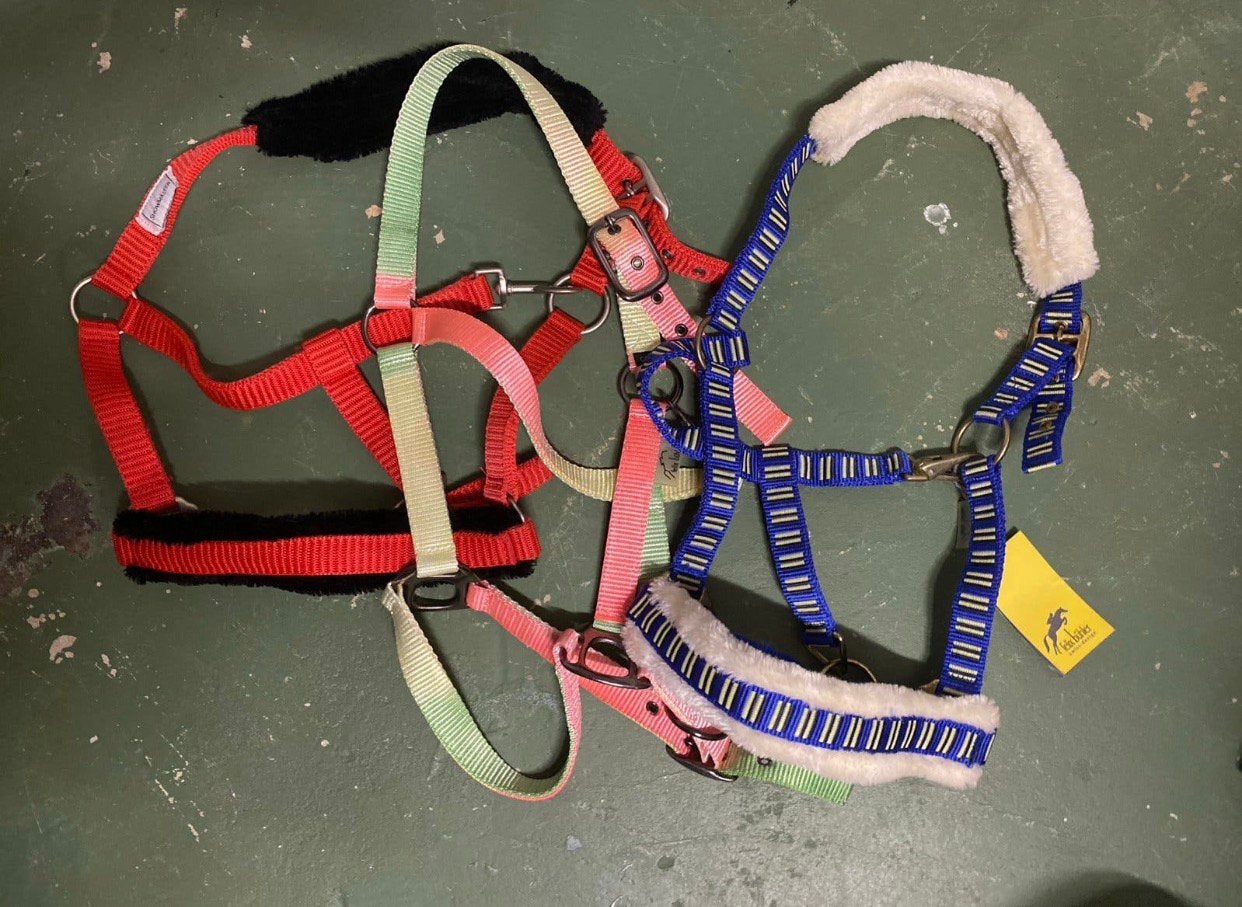 3 nieuwe halsters maat cob., Dieren en Toebehoren, Ophalen, Zo goed als nieuw, Cob