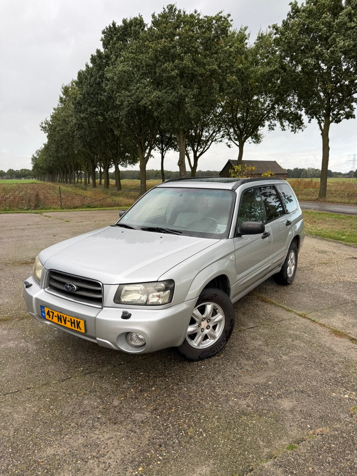 Subaru Forester 2.0 92KW 2004 Grijs, Auto's, 1994 cc, Verwarmde buitenspiegels, 125 pk, 4 cilinders