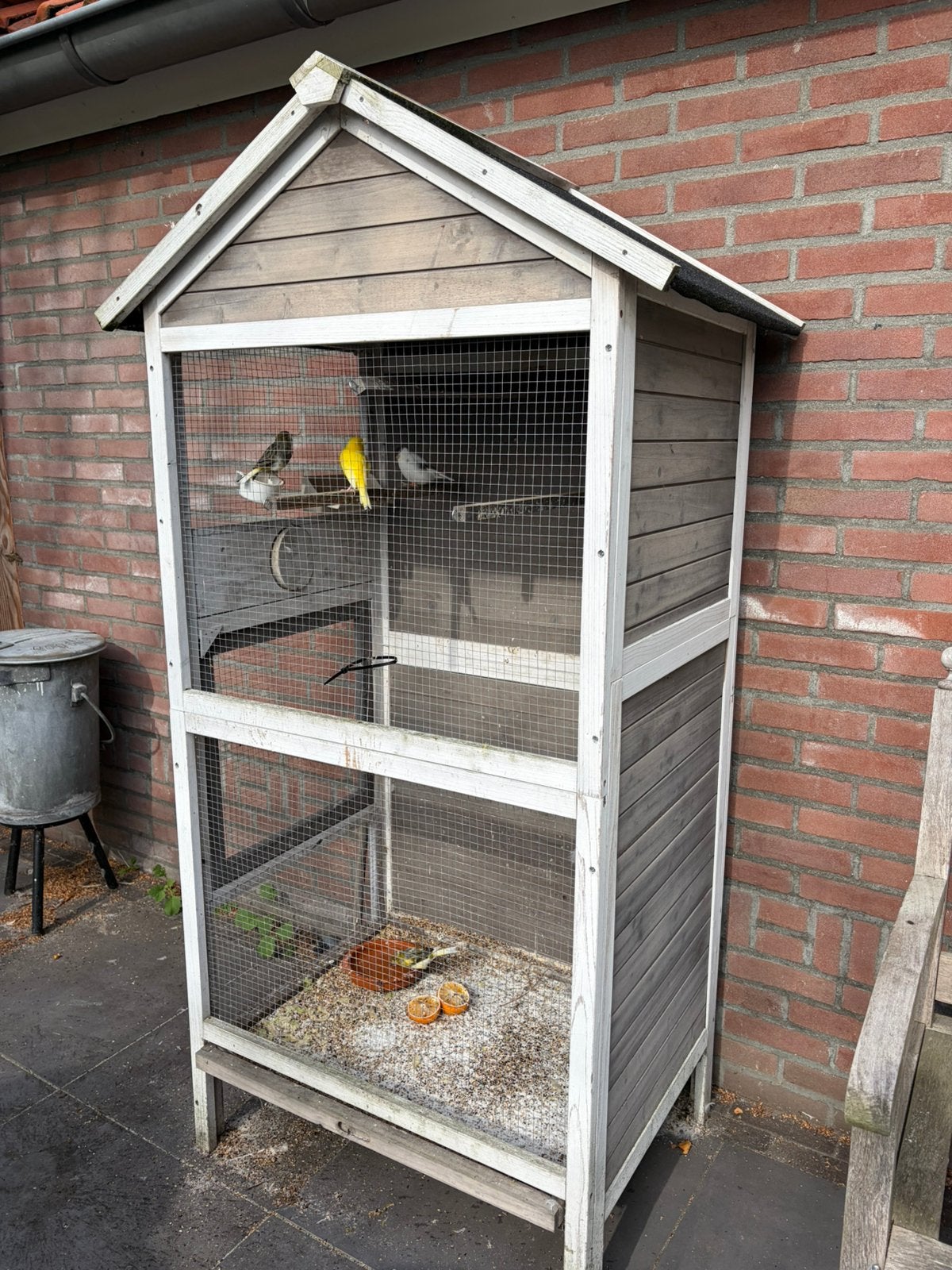 Kanaries, Ophalen, Gebruikt, Hout, Vogelkooi