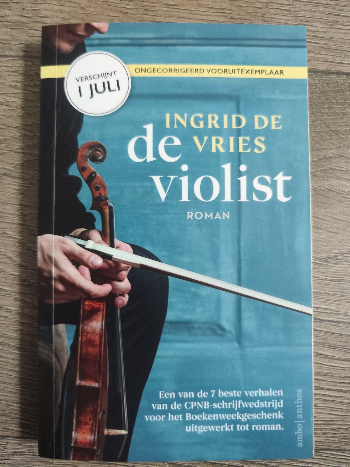 De violist – Ingrid de Vries | Roman over muziek, Ophalen of Verzenden, Gelezen
