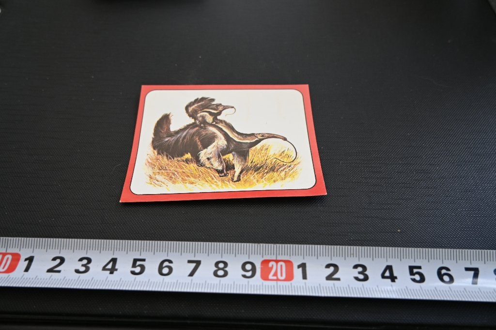 sticker panini baby zoo # 107 strip miereneter, Ophalen, Zo goed als nieuw