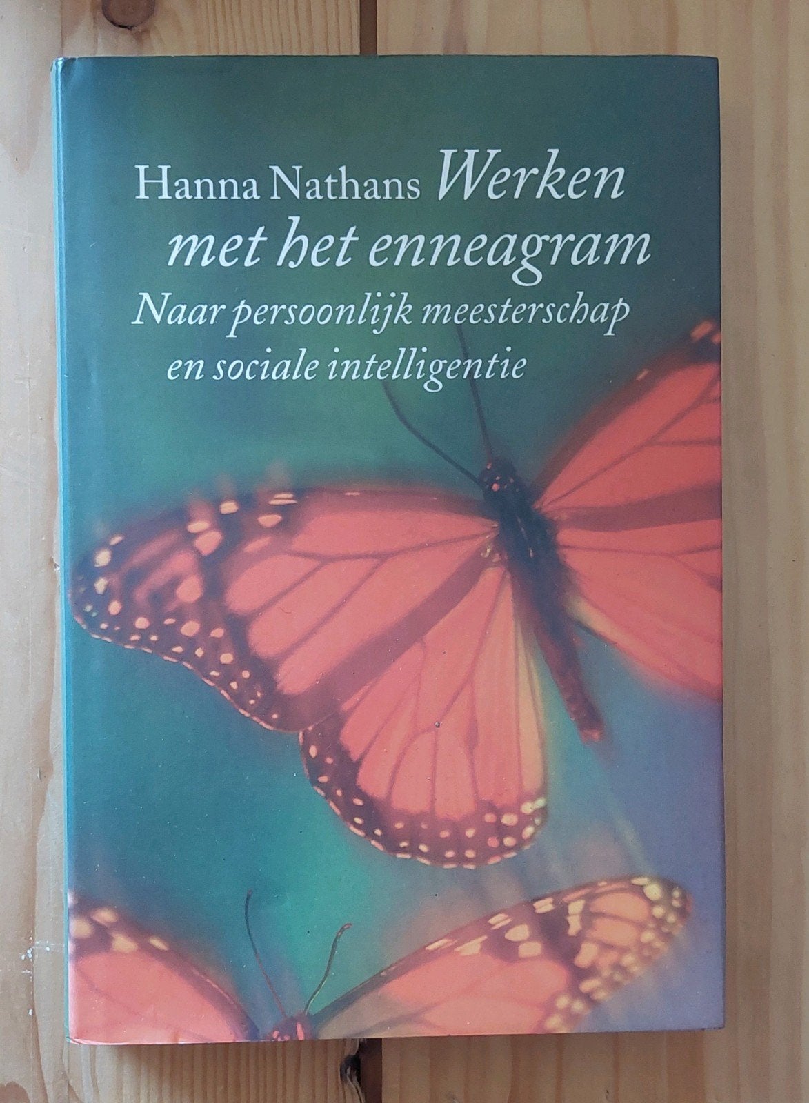 12. Werken met het enneagram - Hanna Nathans, Boeken, Psychologie, Gelezen, Overige onderwerpen, Ophalen of Verzenden