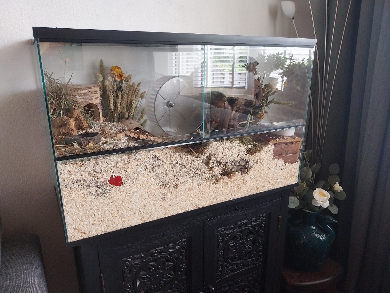 Prachtig hamster terrarium, Dieren en Toebehoren, Minder dan 60 cm, Ophalen of Verzenden, Zo goed als nieuw, Hok