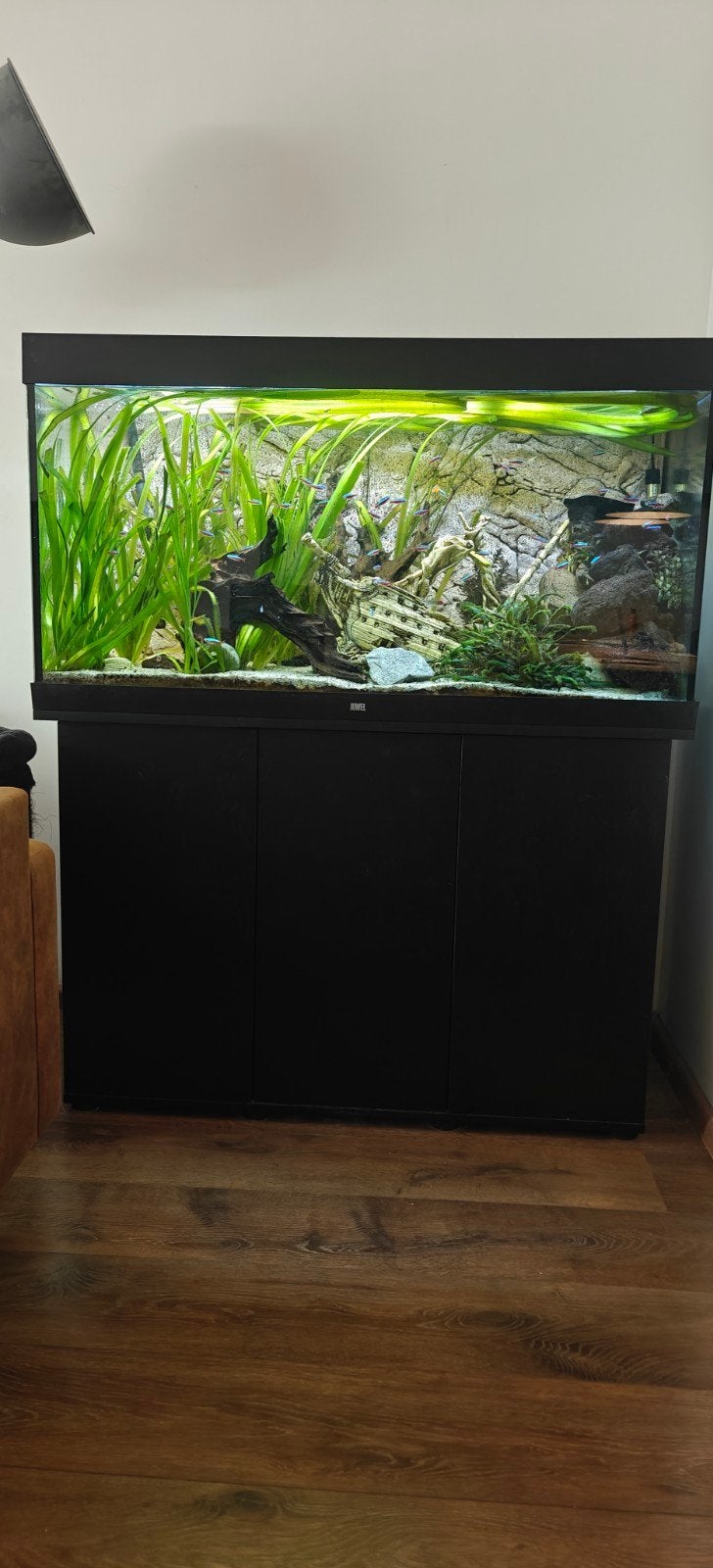juwel rio 350 netto staat, Ophalen, Zo goed als nieuw, Gevuld zoetwateraquarium, Juwel