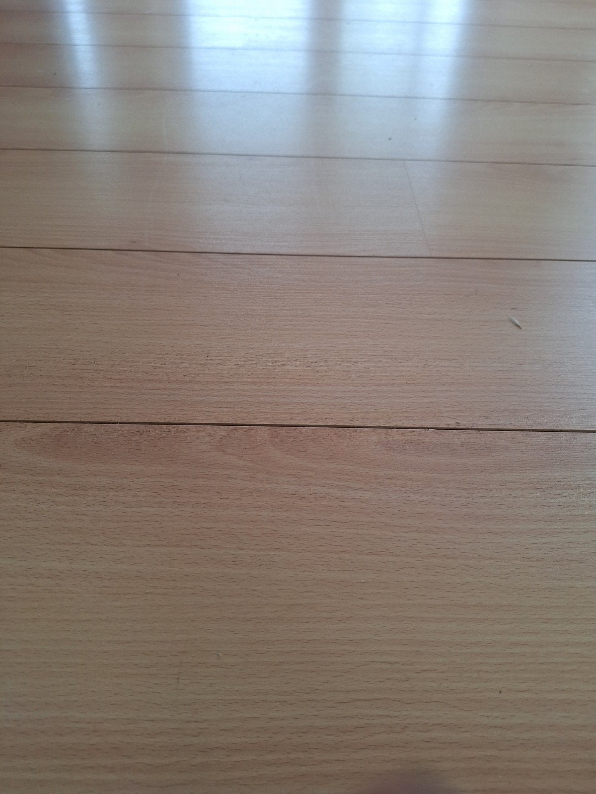 laminaat vloer beuken 40m2, Ophalen, 50 tot 150 cm, 10 m² of meer, 10 tot 30 cm