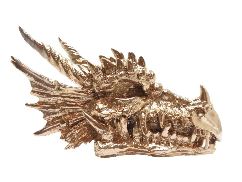 orgoniet draak merliniet lodoliet, Ophalen of Verzenden