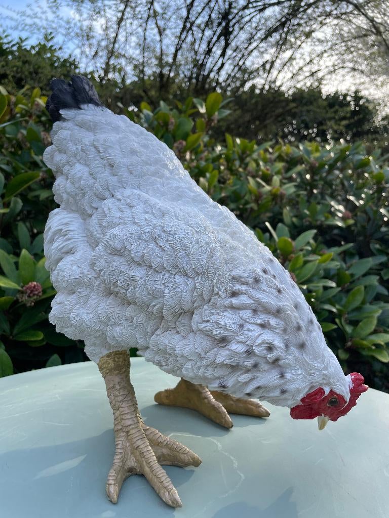 Beeld kip wit, tuin, vijver, gazon, boerderij 35cm, Ophalen, Nieuw, Kunststof, Dierenbeeld