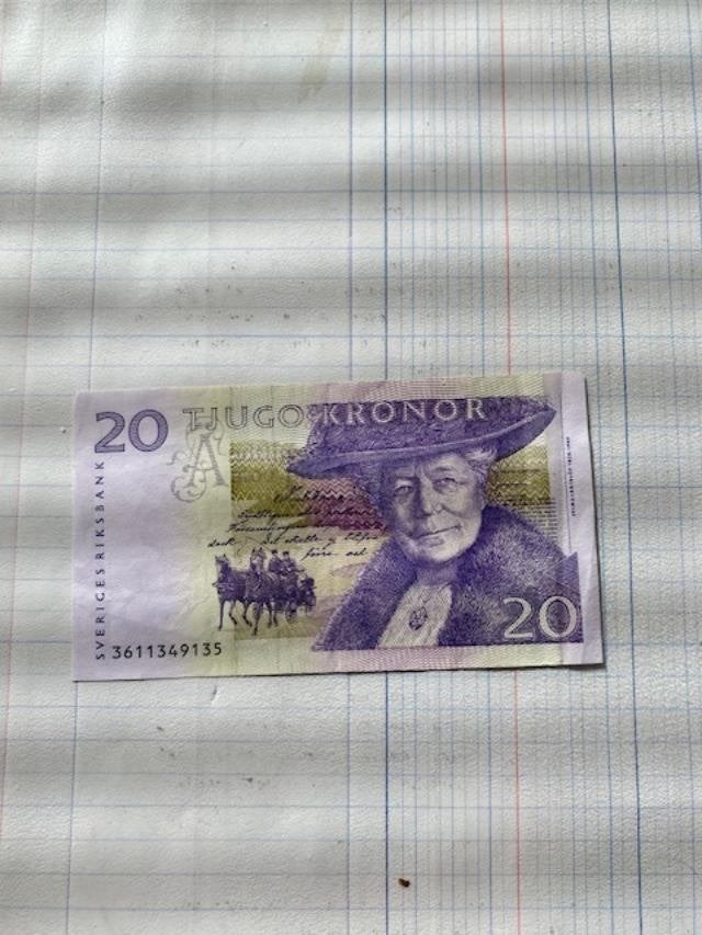 Zweden 20 Kronor 1991, Ophalen of Verzenden, Overige landen, Los biljet