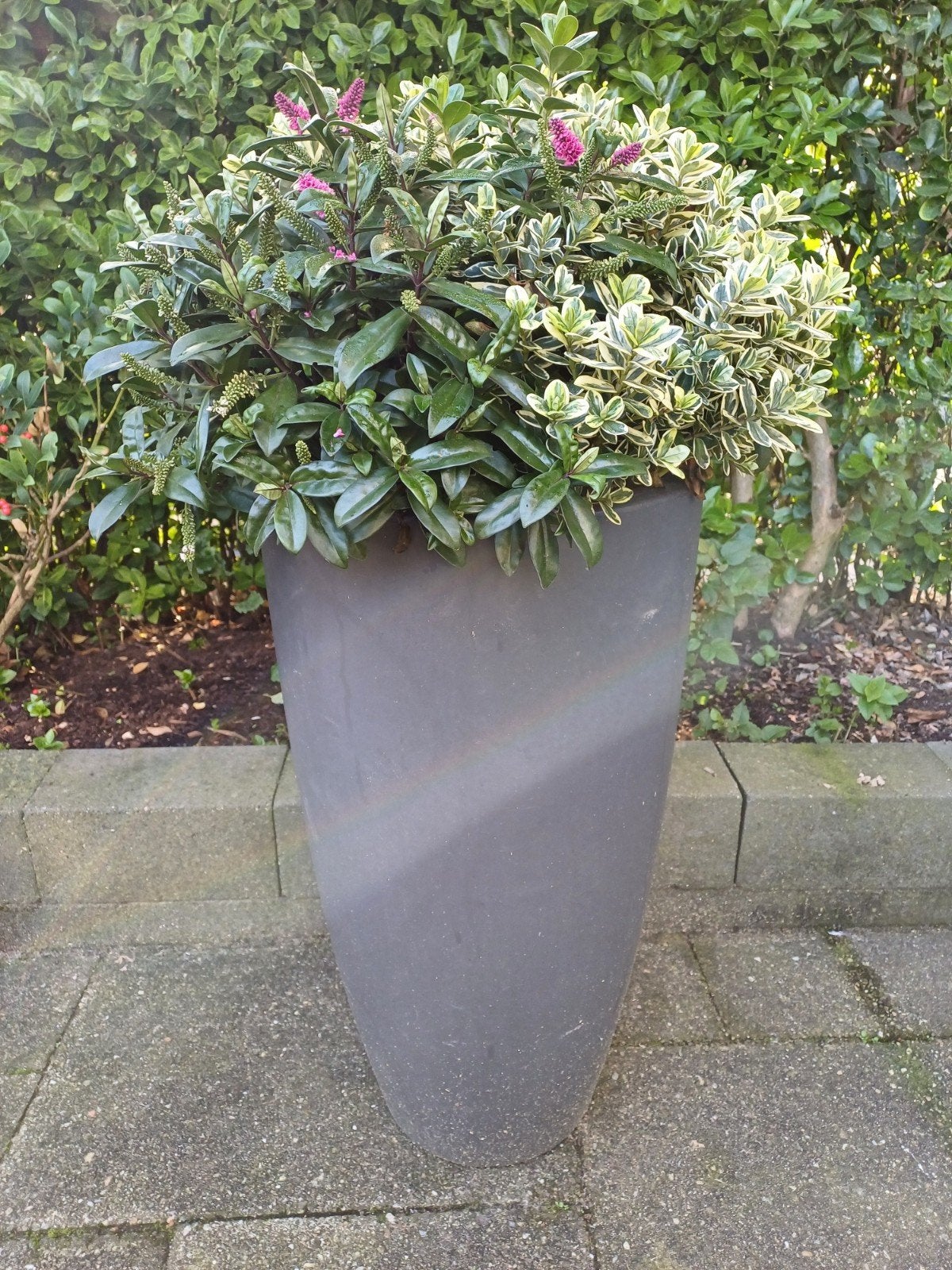Elho bloempot met vaste plant en bloemen, Ø 40cm, H 70cm, Ophalen, Kunststof, Gebruikt, Rond