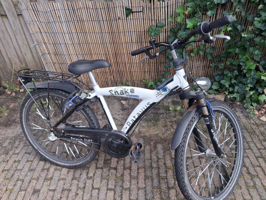 Jongensfiets 24" Batavus Snake, Fietsen en Brommers, Ophalen, Terugtraprem, Batavus, Handrem