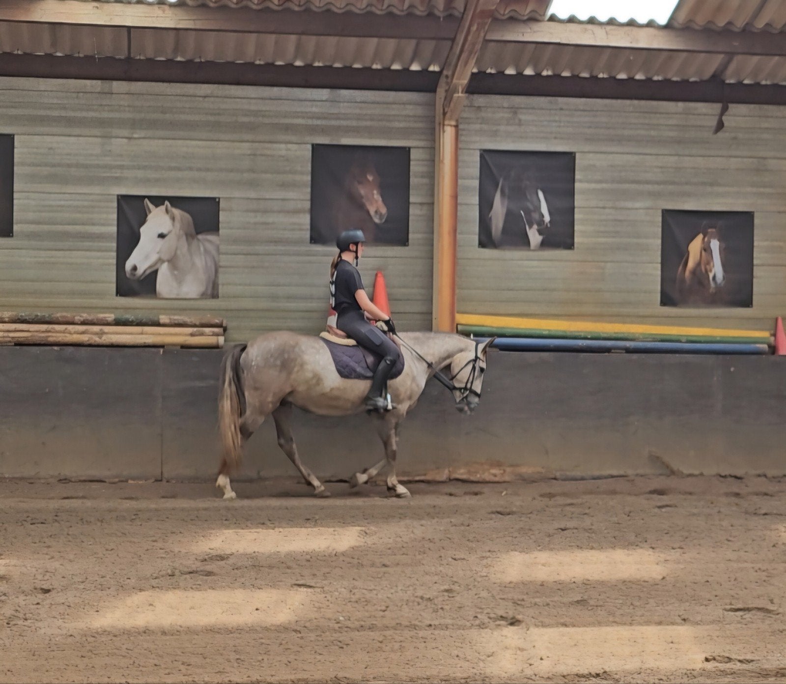 Brave E-pony, Dieren en Toebehoren, Paarden, Minder dan 160 cm, B, Ruin, 3 tot 6 jaar