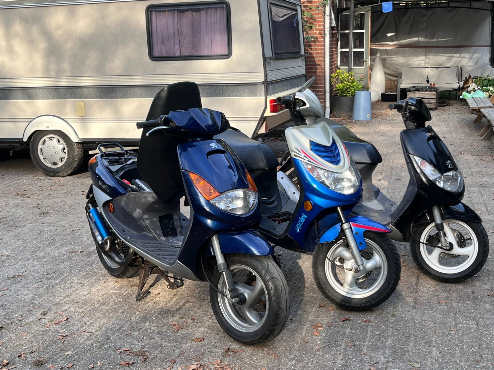 Vivacity 50cc 4t, Ophalen, Gebruikt, Maximaal 45 km/u, Benzine