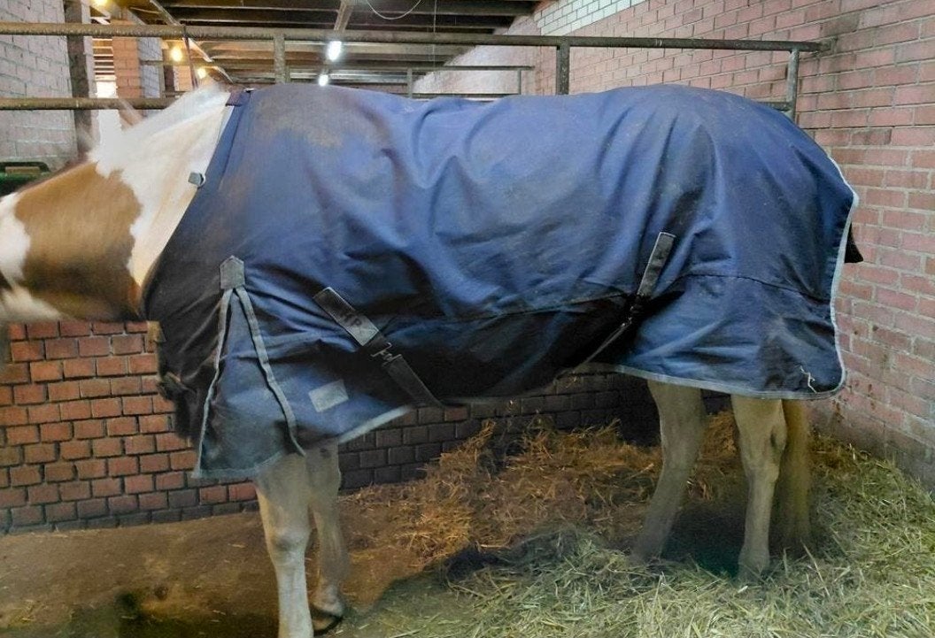 koopjes!!!! dekens maat 205, Ophalen of Verzenden, Zo goed als nieuw, Blauw, QHP
