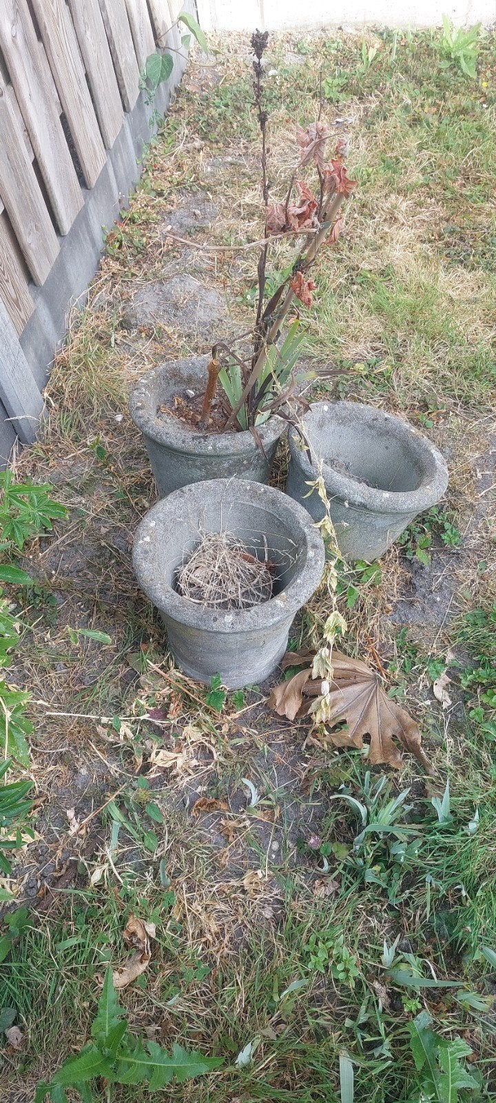 Set van 3 gebruikte betonnen bloempotten, Tuin en Terras, Gebruikt, Minder dan 60 cm, Rond, Ophalen of Verzenden