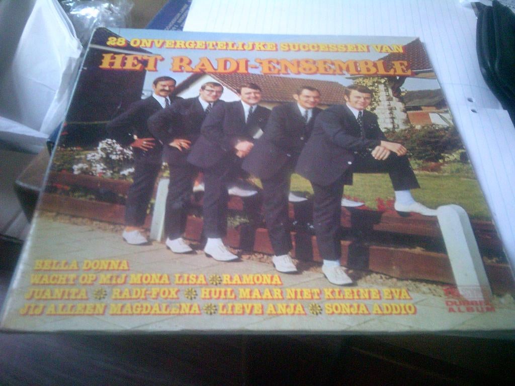 HET RADI - ENSEMBLE LP 28 ONVERGETELIJKE SUCCESSEN VAN, Cd's en Dvd's, 1980 - 1989, Ophalen of Verzenden, Zo goed als nieuw, Levenslied of Smartlap