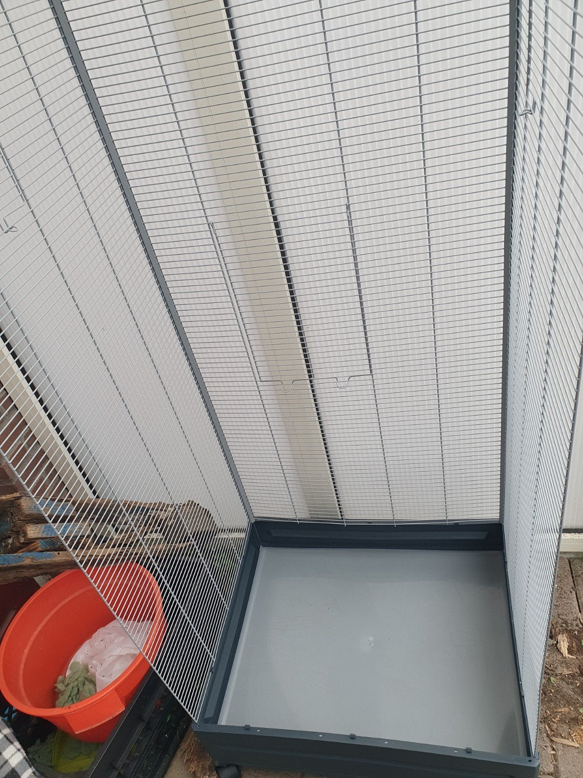 Hokken gevraagd voor konijn en cavia  enz, Dieren en Toebehoren, Vogels | Hokken en Kooien, Ophalen, Hout