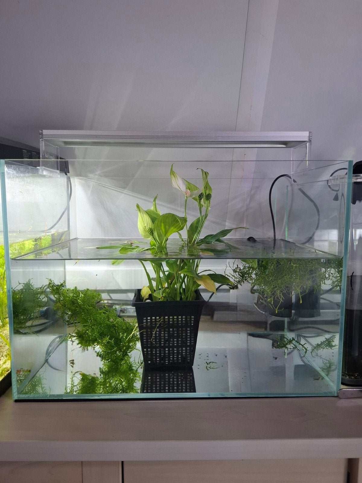 Aquarium 45 liter aquascaping, Ophalen of Verzenden, Leeg aquarium