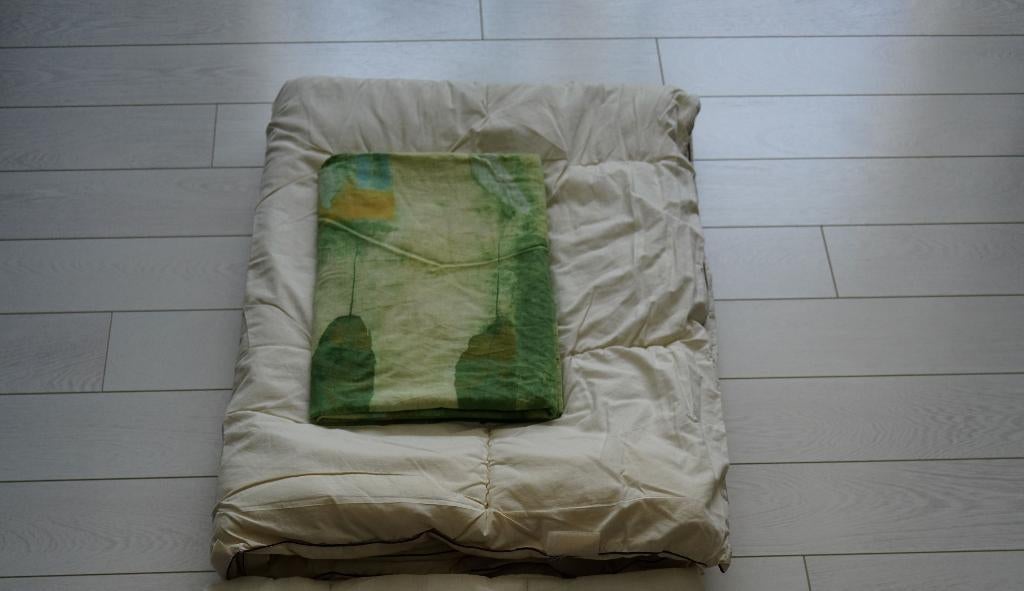 Dekbed, Huis en Inrichting, Slaapkamer | Beddengoed, Ophalen, Wit, Tweepersoons, Deken of Dekbed