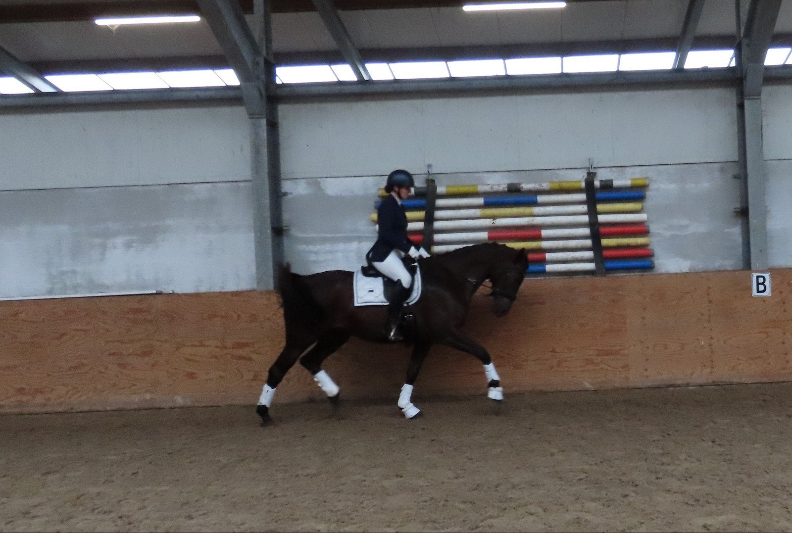Super chique talentvolle dressuur merrie, Dieren en Toebehoren, Paarden, Merrie, Met stamboom, M, Dressuurpaard