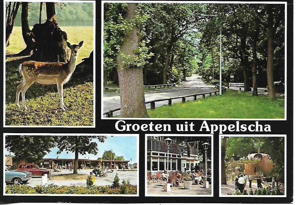 Appelscha- -5-luik., Verzenden, 1980 tot heden, Gelopen, Friesland