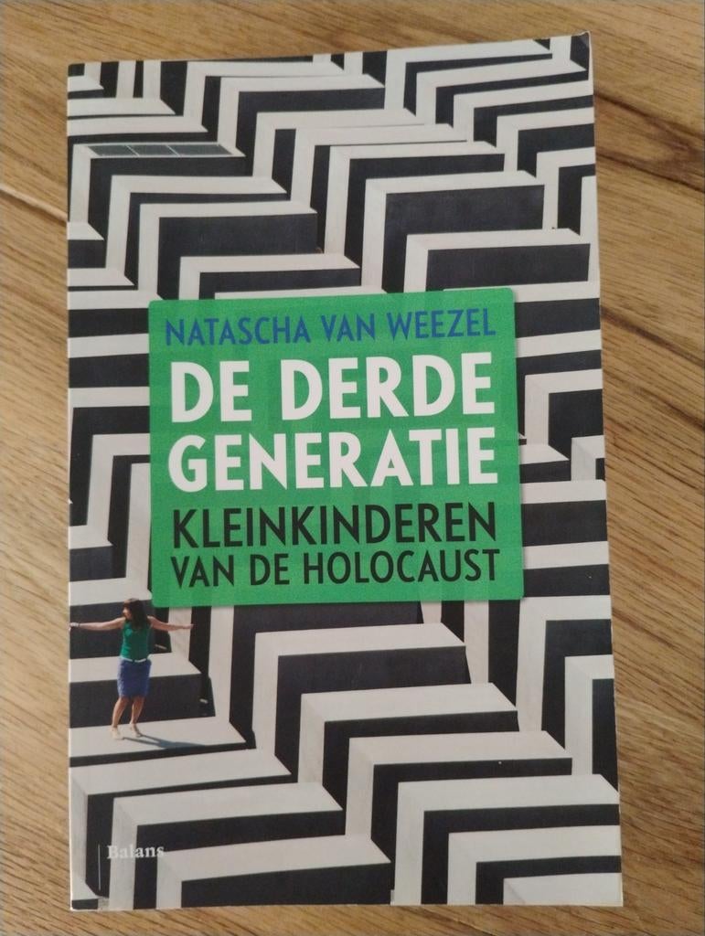 De Derde Generatie: Kleinkinderen van de Holocaust, Boeken, Geschiedenis | Vaderland, Zo goed als nieuw, 20e eeuw of later, Ophalen of Verzenden