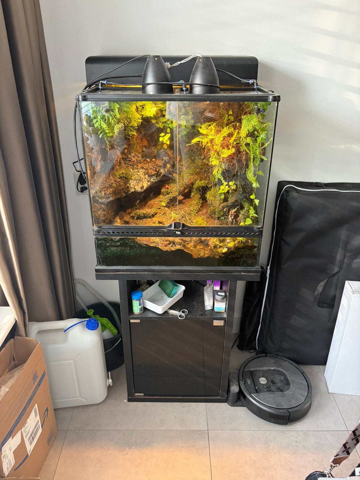 Complete Exo Terra 90x90 Gifkikkerbak incl. Kast & Kikkers, Dieren en Toebehoren, Reptielen en Amfibieën | Toebehoren, Ophalen