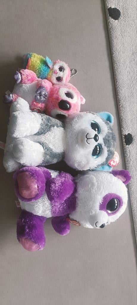 Set van 4 Beanie Boo's - Ty knuffels, Paars, Gebruikt, Overige typen, Ophalen of Verzenden