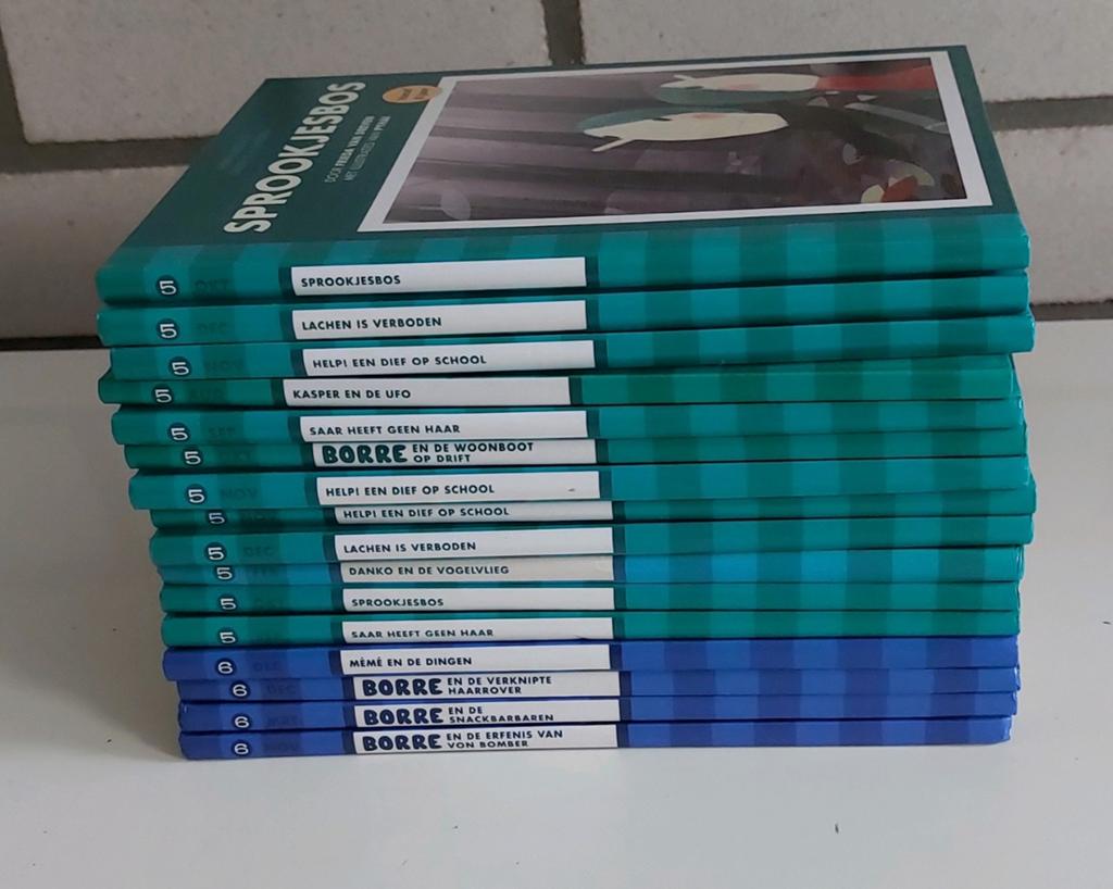 Borre boekjes groep 5 en 6, Boeken, Kinderboeken | Jeugd | onder 10 jaar, Ophalen of Verzenden, Zo goed als nieuw, Fictie algemeen