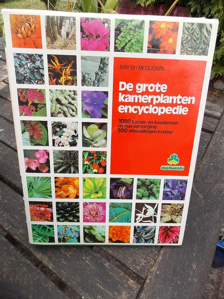De grote kamerplanten encyclopedie - boek, Ophalen of Verzenden, Gelezen
