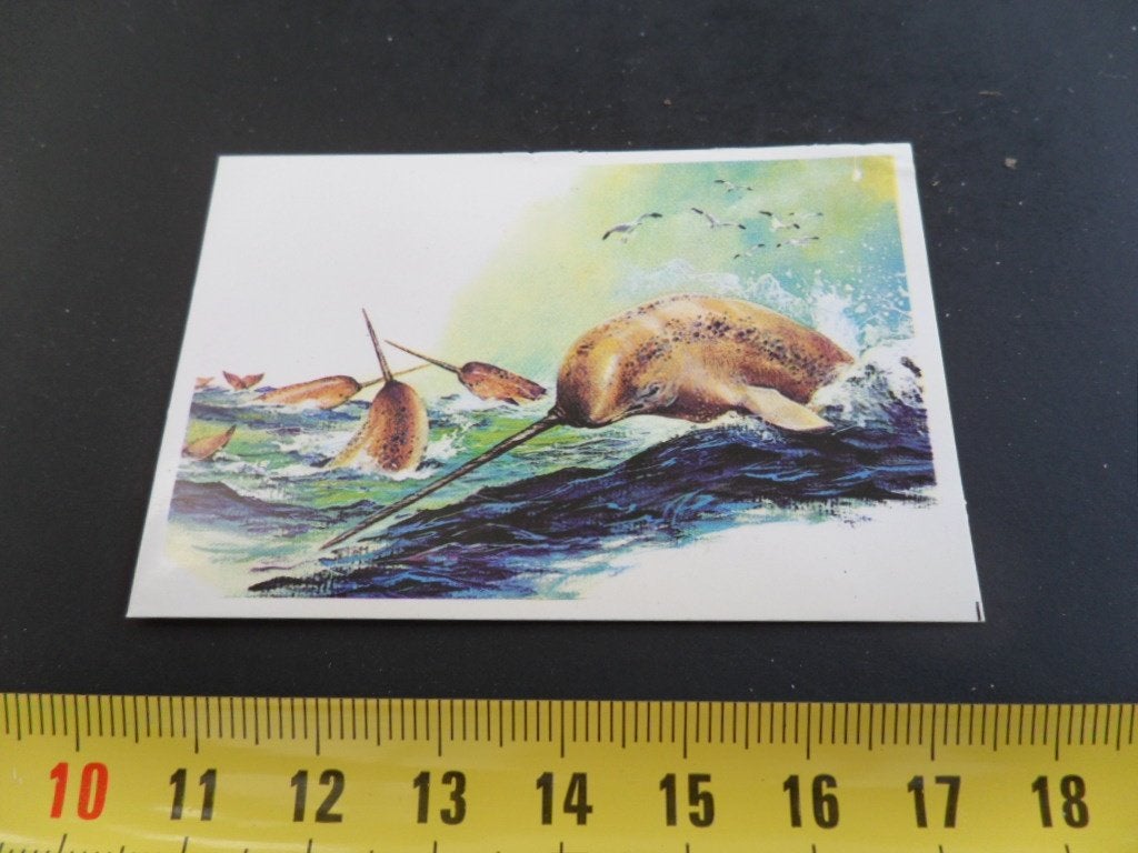sticker strip dier #159 narwal, Ophalen of Verzenden, Zo goed als nieuw