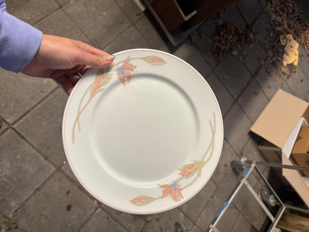 Hudson Fine China Dinerborden - Onbeschadigd, Huis en Inrichting, Keuken | Servies, Ophalen, Gebruikt, Bord(en), Overige stijlen