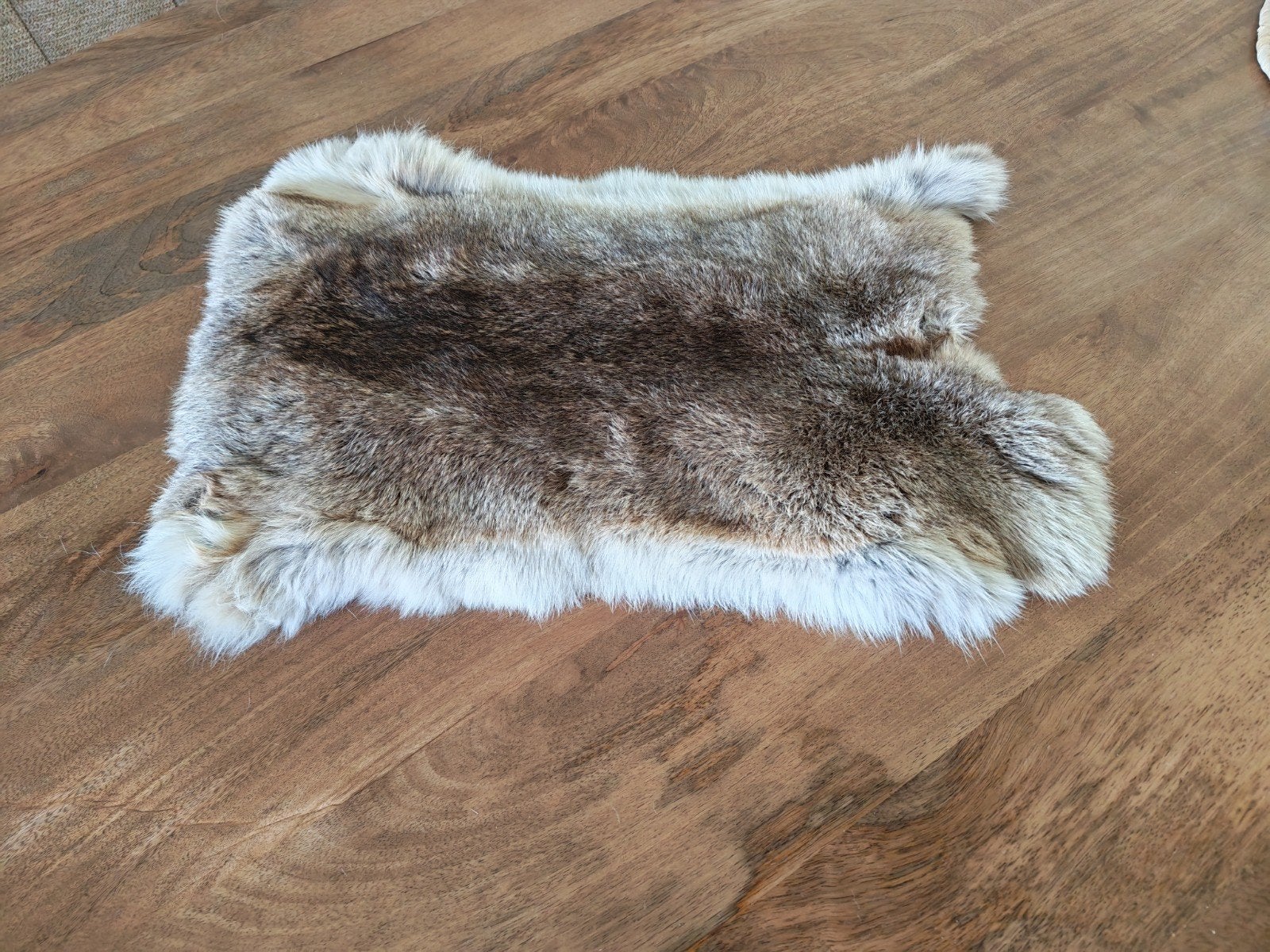Konijnenbont voor decoratie, Ophalen of Verzenden, Gebruikt, Bruin, Natuurlijk materiaal