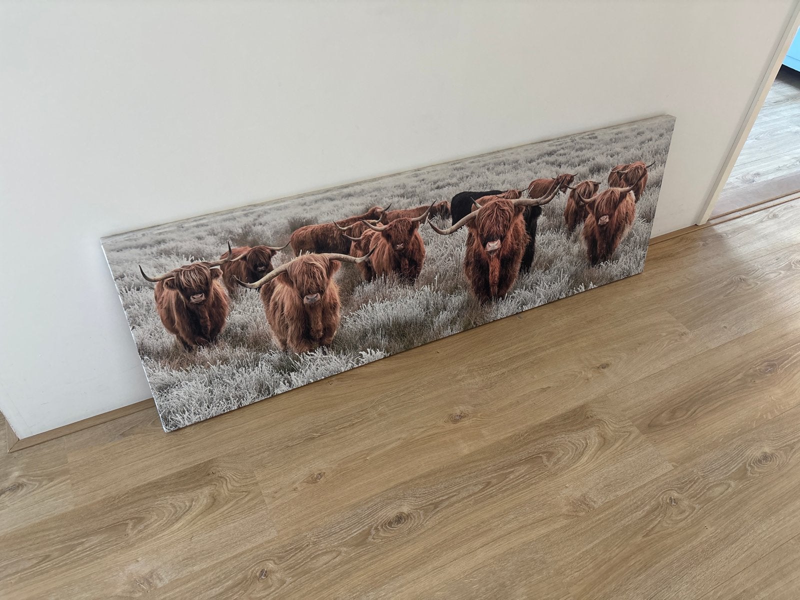 Schilderij Schotse Hooglanders - Canvas, Huis en Inrichting, Ophalen of Verzenden, Zo goed als nieuw, Schilderij, 100 tot 125 cm